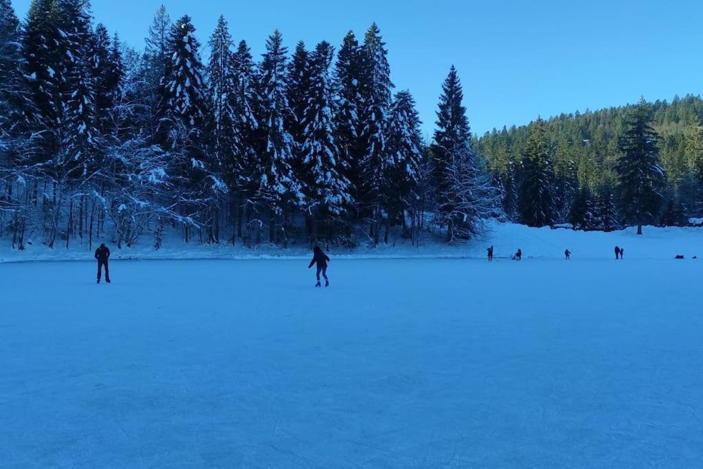 Studio Avec Belle Vue Proche Du Lac Genin Echallon ภายนอก รูปภาพ